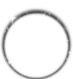 1000067516.gif