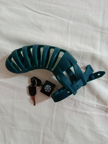 IMG 20260831 070111.jpg