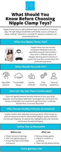 What Should You Know Before Choosing Nipple Clamp Toys.jpg