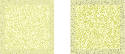 1000121280.png
