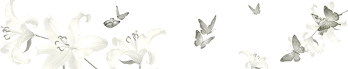 1000121274.png