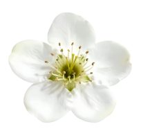 1000121284.png