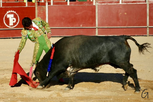 image00011