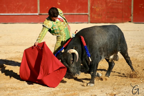 image00012