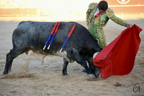 image00027