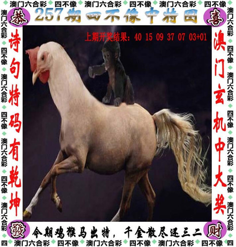 amsbx.jpg