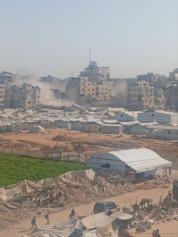 صورة الخبر