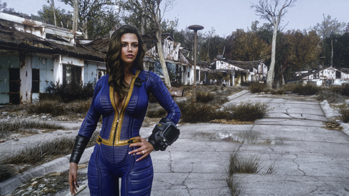 Fallout4 2026 09 15 13 30 51 4.png