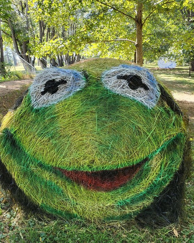 1000033325 68e707d09d763 700.jpg