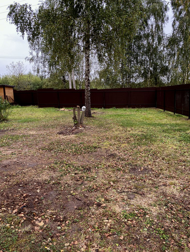 IMG 3596 7.jpg