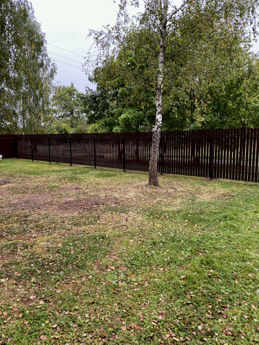 IMG 3597 7.jpg