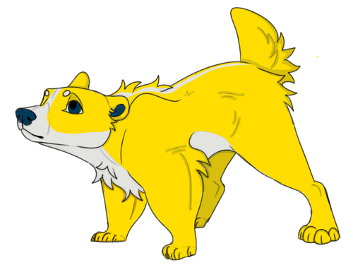 IMG 0082.png