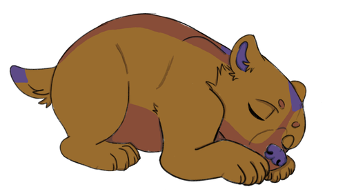 IMG 0079.png