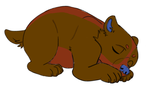 IMG 0080.png