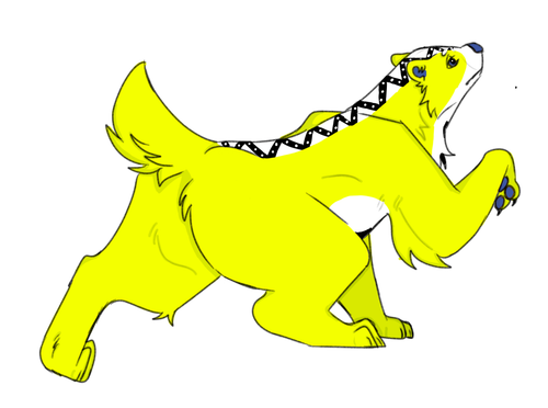 IMG 0081.png