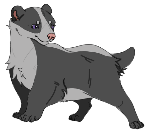 IMG 0084.png