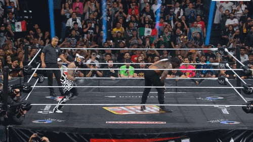 GIF 9 14 2026 9 27 49 PM.gif