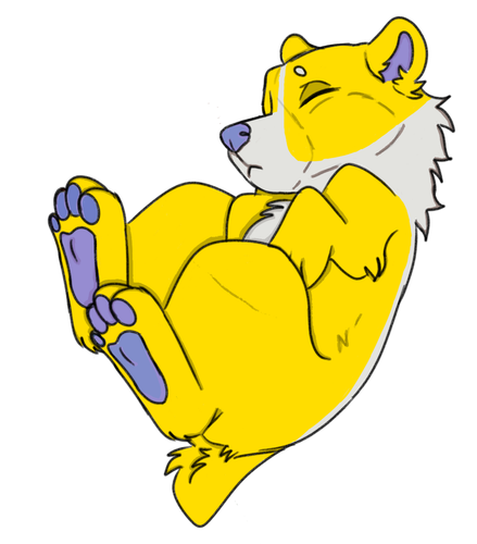 IMG 0087.png