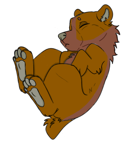 IMG 0091.png