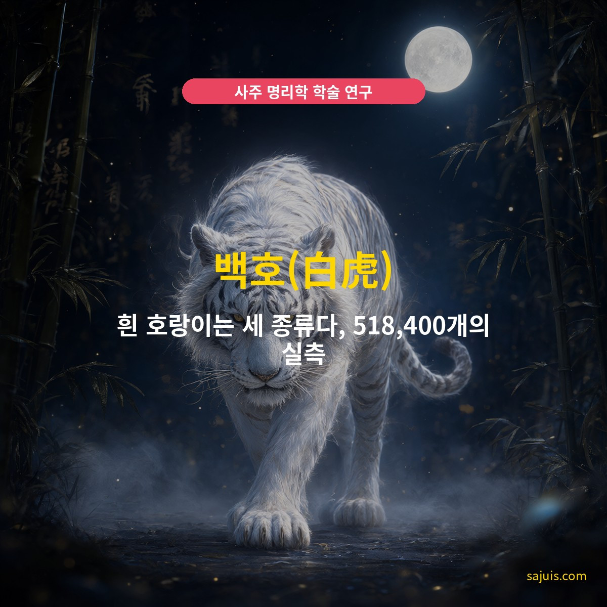 백호(白虎) — 흰 호랑이는 세 종류다, 518,400개의 실측
