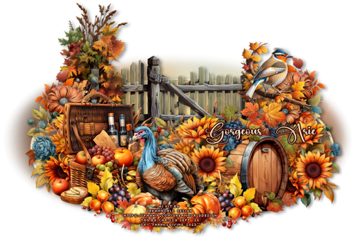 issy ThanksgivingcGorgeousArie vi