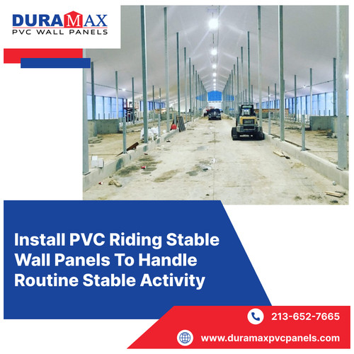 Install PVC Riding Stable Wall Panels To Handle Routine Stable Activity.1