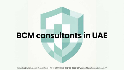 BCM consultants in UAE.jpg