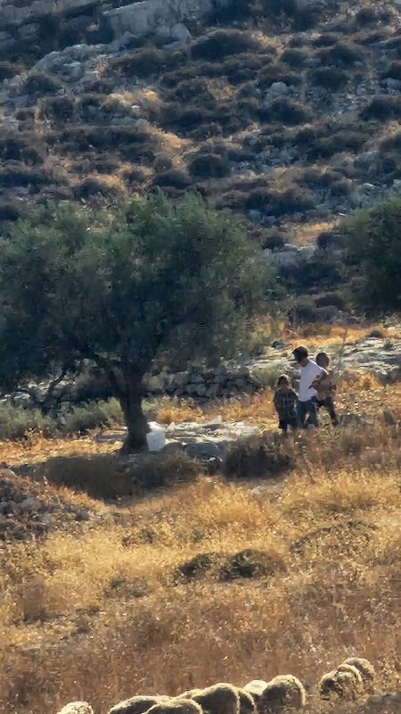 صورة الخبر