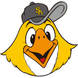 Fukuoka Hawks