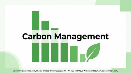 Carbon footprint assessment.jpg