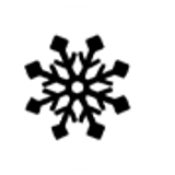 xinxi