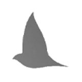 bianji