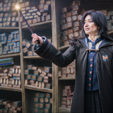 HogwartsLegacy 2026 10 07 16 39 26 651