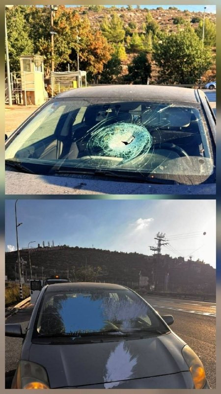 صورة الخبر