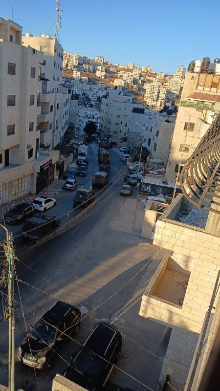 صورة الخبر