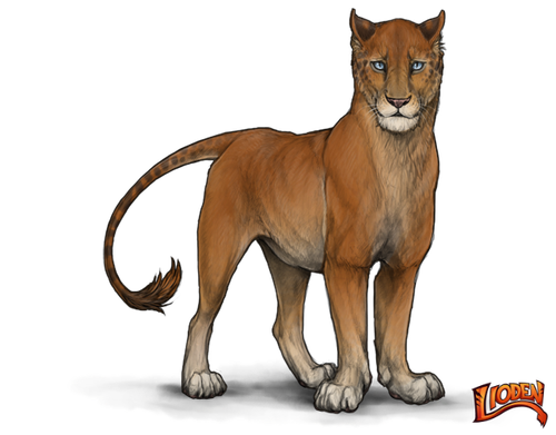 lioden wardrobe (1).png