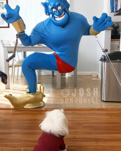 one legged man josh sundquist halloween costume 2025 6904d61393bfe png 700.jpg