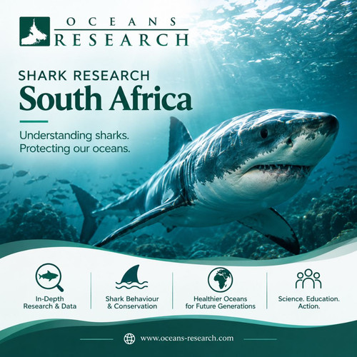Shark Research South Africa.jpg