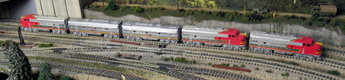 IMG 6551.jpg
