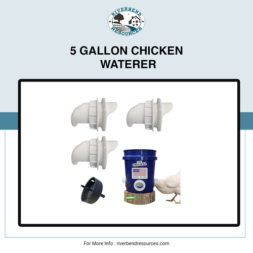 5 GALLON CHICKEN WATERER.png
