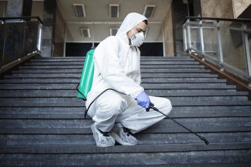 Need Reliable Pest Control in Azusa for Your Property?.gif