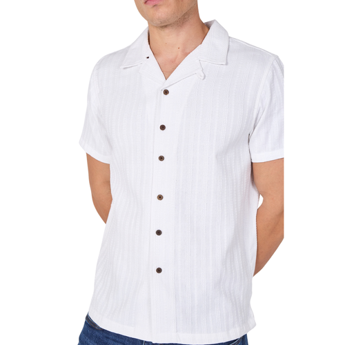 T Shirt Color Update(95).png