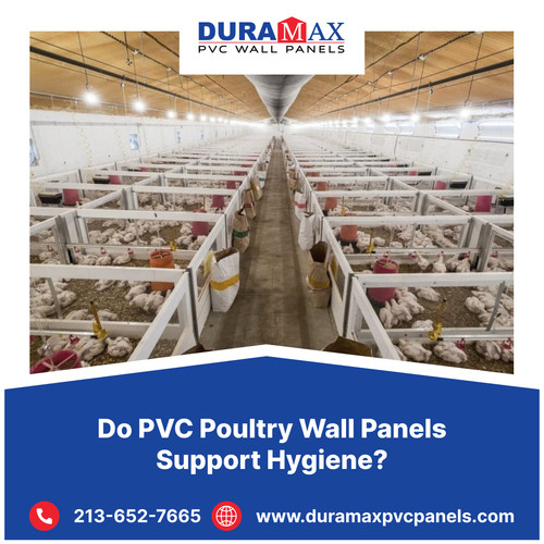 Do PVC Poultry Wall Panels Support Hygiene?.1