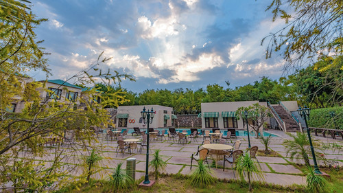 Ranthambore New Year Packages 2027 – Celebrate the New Year in the Wild.1