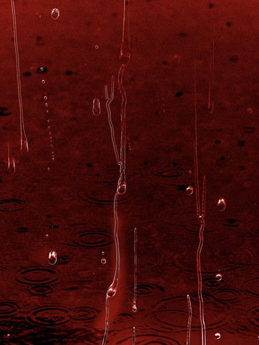 Screenshot.1