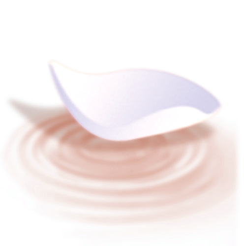 IMG 1310.2