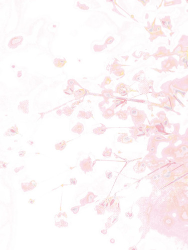 原创底图｜粉色系合集① 3 雪时（底素组更新中） 来自小红书网页版.jpg
