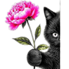 photo 2026 09 09 14 54 39 removebg preview (1) (1).png
