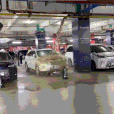 fff.gif