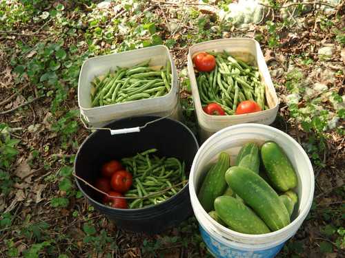 IMG 8877.jpg